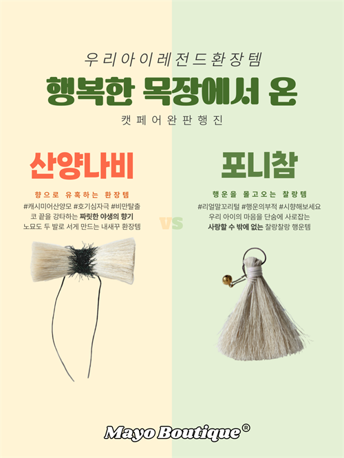 브랜드 라인업업 이미지